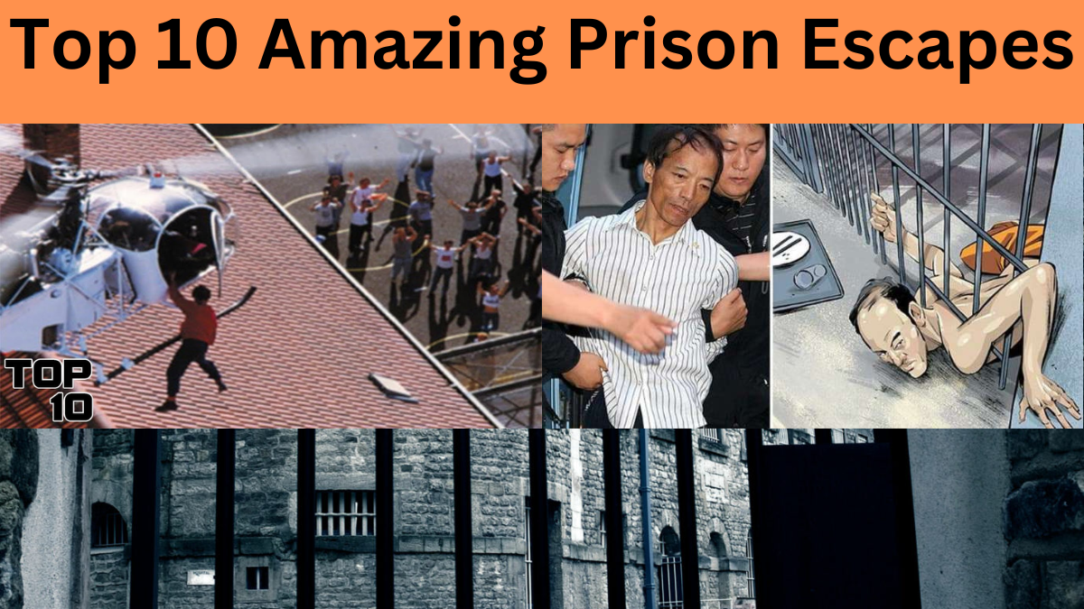 Top 10 Amazing Execution Survival Stories